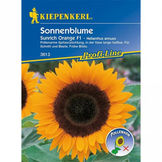 Floarea soarelui decorativă Sunrich Orange F1 imagine 3