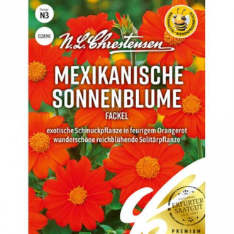 Floarea soarelui mexicană Torch imagine 3