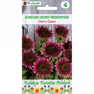 Floarea sorelui decorativă Cherry Queen imagine 6