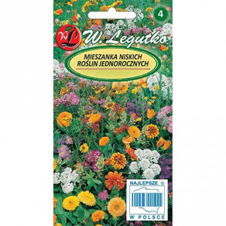 Flori anuale, mix multicolor 2 Legutko imagine 1