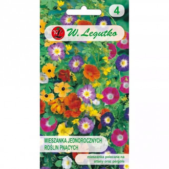 Flori cățărătoare, mix multicolor imagine 2