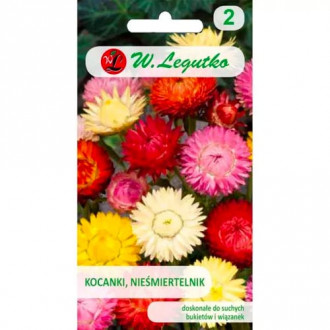 Flori de paie înalte, mix multicolor Legutko imagine 2