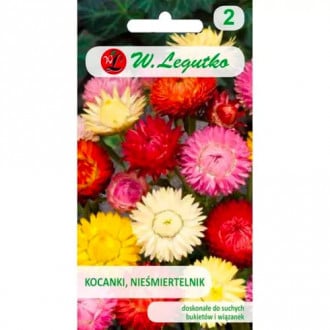 Flori de paie înalte, mix multicolor Legutko imagine 1