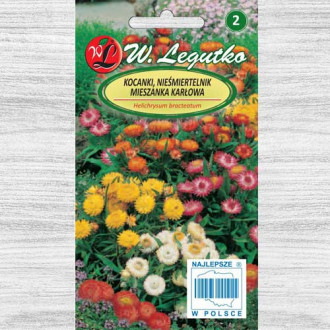 Flori de paie Tom Thumb, mix multicolor Legutko imagine 5
