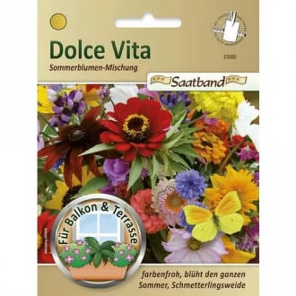 Flori de vară Dolce Vita, mix multicolor imagine 3