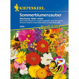 Flori de vară Magic, mix multicolor Kiepenkerl imagine 3