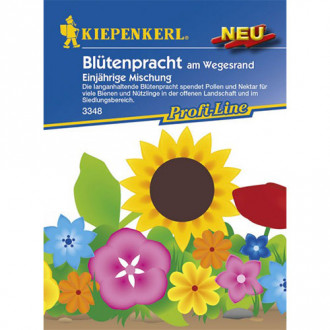 Flori de vară, mix multicolor Kiepenkerl imagine 6