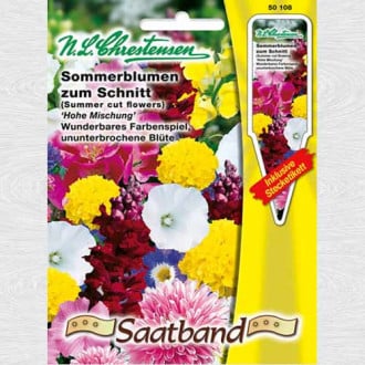 Flori de vară pentru tăiere, mix multicolor, semințe pe bandă imagine 4
