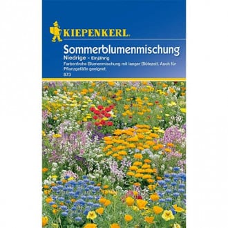 Flori de vară pitice, mix multicolor Kiepenkerl imagine 2