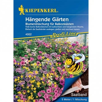 Flori Hanging Gardens, mix multicolor imagine 4