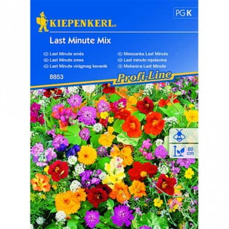 Flori Last Minute, mix multicolor imagine 6