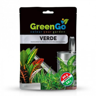 GreenGo Verde imagine 5