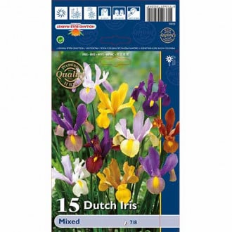 Iris olandez mix multicolor imagine 2