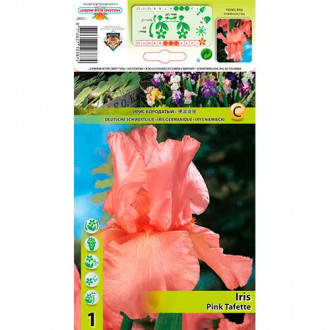 Iris germanica (Stânjenel) Pink Tafette imagine 3