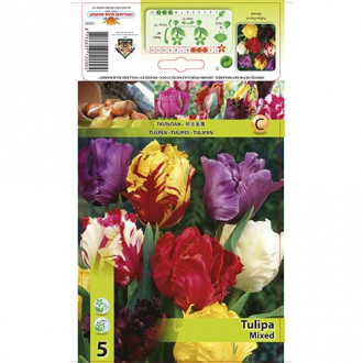 Lalele parrot mix multicolor imagine 4