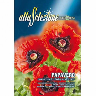 Mac ornamental roșu imagine 11