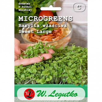 Microplante - Busuioc Sweet Large Legutko imagine 2