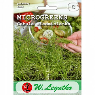 Microplante - Ceapă verde Legutko imagine 1