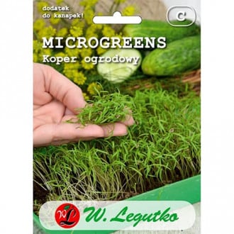 Microplante - Mărar de grădină Legutko imagine 5
