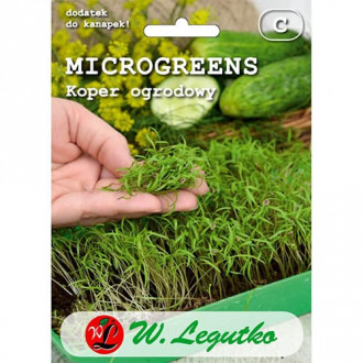 Microplante - Mărar de grădină imagine 6