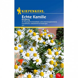 Mușețel anual Echte Kiepenkerl imagine 2