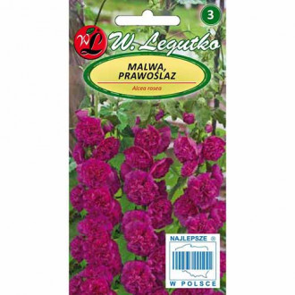 Nalbă de grădină Marshmallow, violet imagine 5
