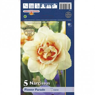 Narcise Flower Parade imagine 5