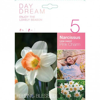 Narcise Pink Charm imagine 2