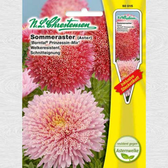 Ochiul boului Borntaler, mix multicolor fotografie 7 Ochiul boului Borntaler, mix multicolor imagine 7