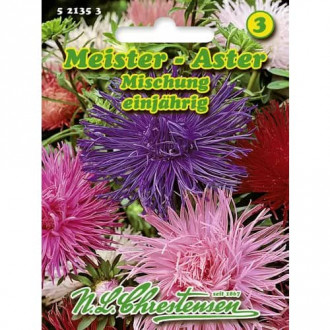 Ochiul boului Meister, mix multicolor imagine 6