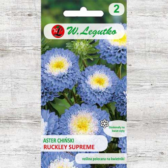 Ochiul boului tip pompon Ruckley Supreme Legutko fotografie 14 Ochiul boului tip pompon Ruckley Supreme Legutko imagine 14