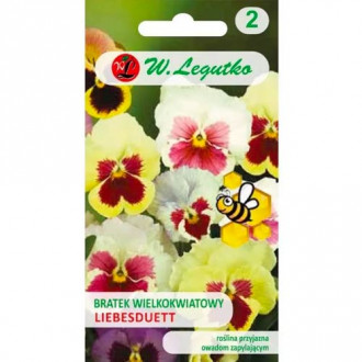 Panseluțe cu flori mari alb Legutko imagine 3