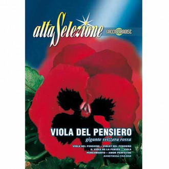 Panseluțe Swiss Giant roșii