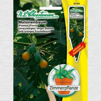 Papaya Melonenbaum imagine 1