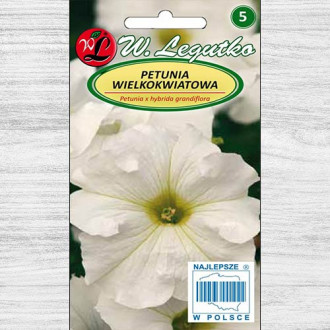 Petunie grandiflora albă Legutko imagine 1