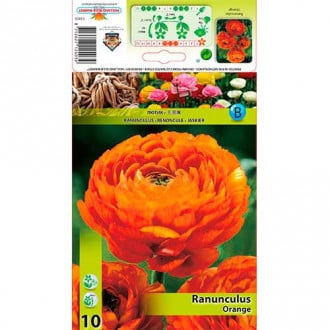 Ranunculus Orange imagine 1