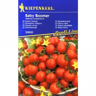 Roșie Baby Boomer F1 Kiepenkerl imagine 2