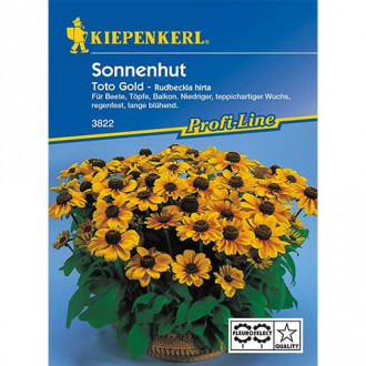 Rudbeckia (Bulgări de soare) Toto imagine 6