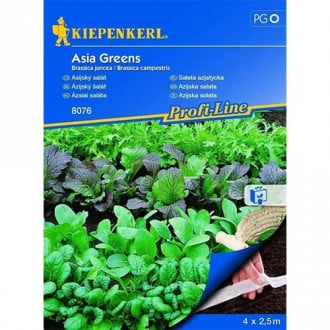Salată asiatică Asia Greens, semințe pe bandă imagine 6