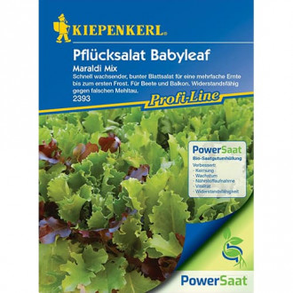 Salată Babyleaf, amestec de soiuri imagine 3