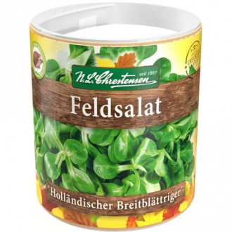 Kit de însămânțare Salată de câmp (Fetică) Hollandischer Breitblattriger imagine 5
