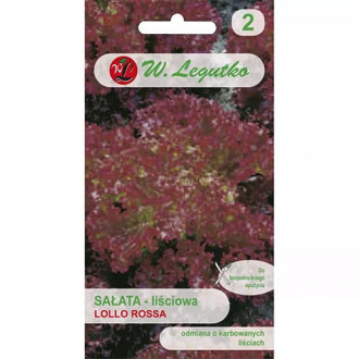 Salată de frunze Lollo Rossa imagine 5