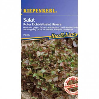 Salată de frunze Navara Kiepenkerl imagine 6