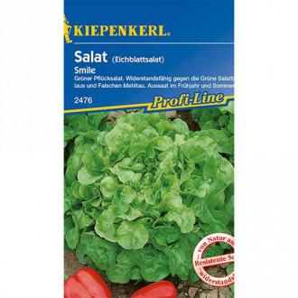 Salată de frunze Smile Kiepenkerl imagine 2