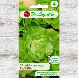 Salată verde Ewelina Legutko imagine 1