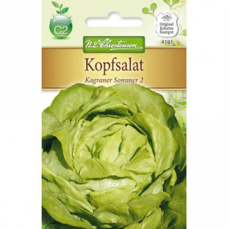 Salată verde Kagraner Sommer 2 Chrestensen imagine 2