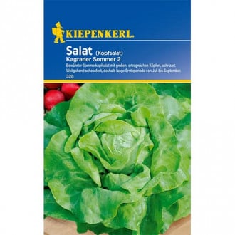 Salată verde Kagraner Summer 2 imagine 6