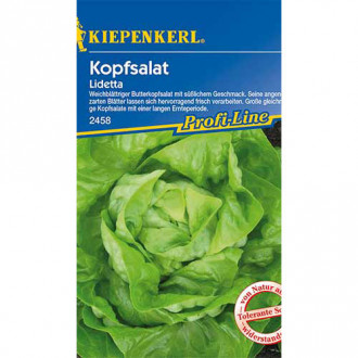 Salată verde Lidetta Kiepenkerl imagine 4