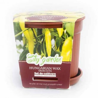 Set de cultivare - Ardei iute Chilli Hungarian Wax imagine 3
