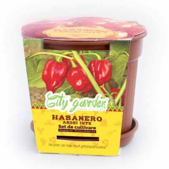 Set de cultivare - Ardei iute Mexican Habanero Red imagine 6